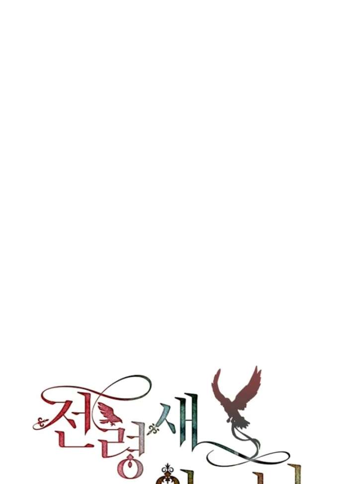 Cavier Falcon Princess Chapter 139 - Page 81