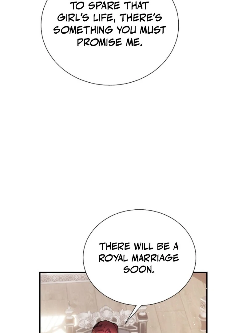 Cavier Falcon Princess Chapter 141 - Page 28