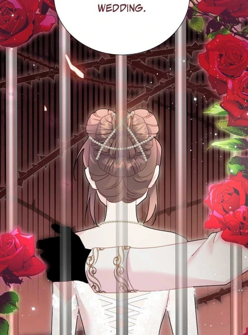 Cavier Falcon Princess Chapter 141 - Page 33