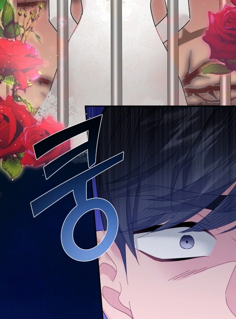 Cavier Falcon Princess Chapter 141 - Page 34