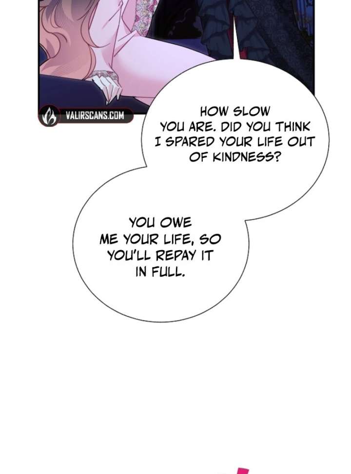 Cavier Falcon Princess Chapter 143 - Page 66