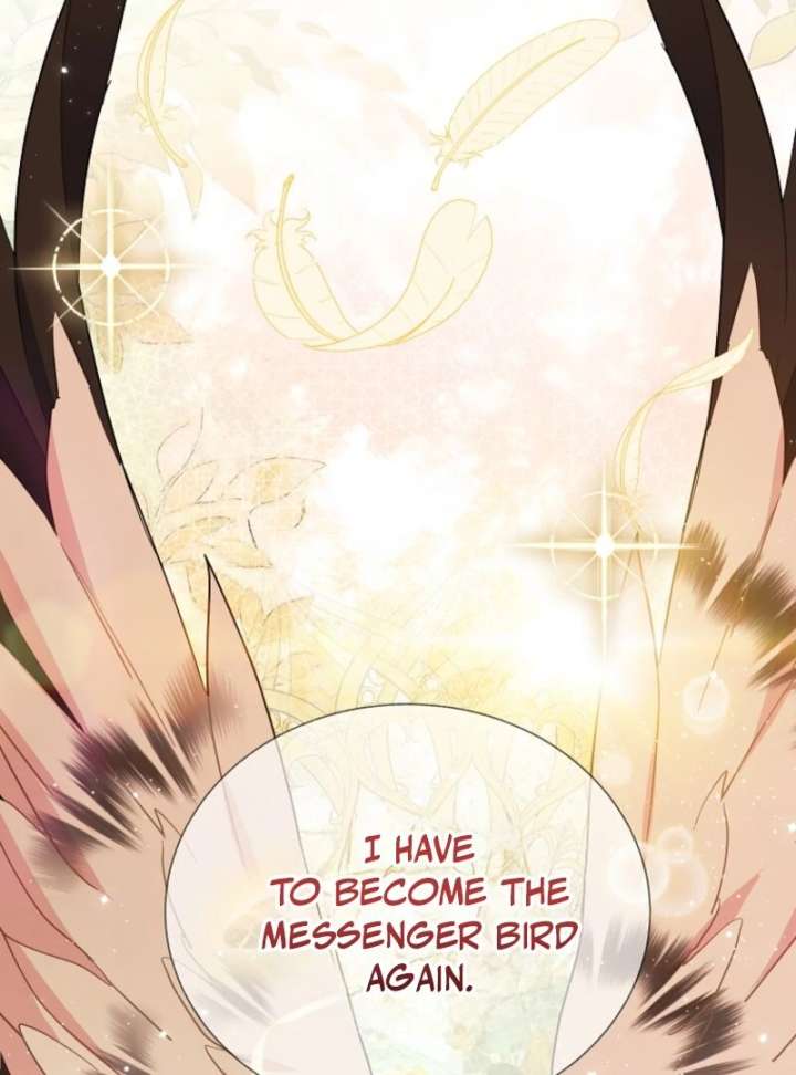 Cavier Falcon Princess Chapter 144 - Page 122