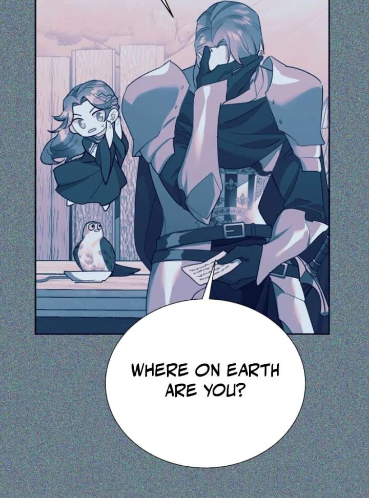 Cavier Falcon Princess Chapter 144 - Page 17