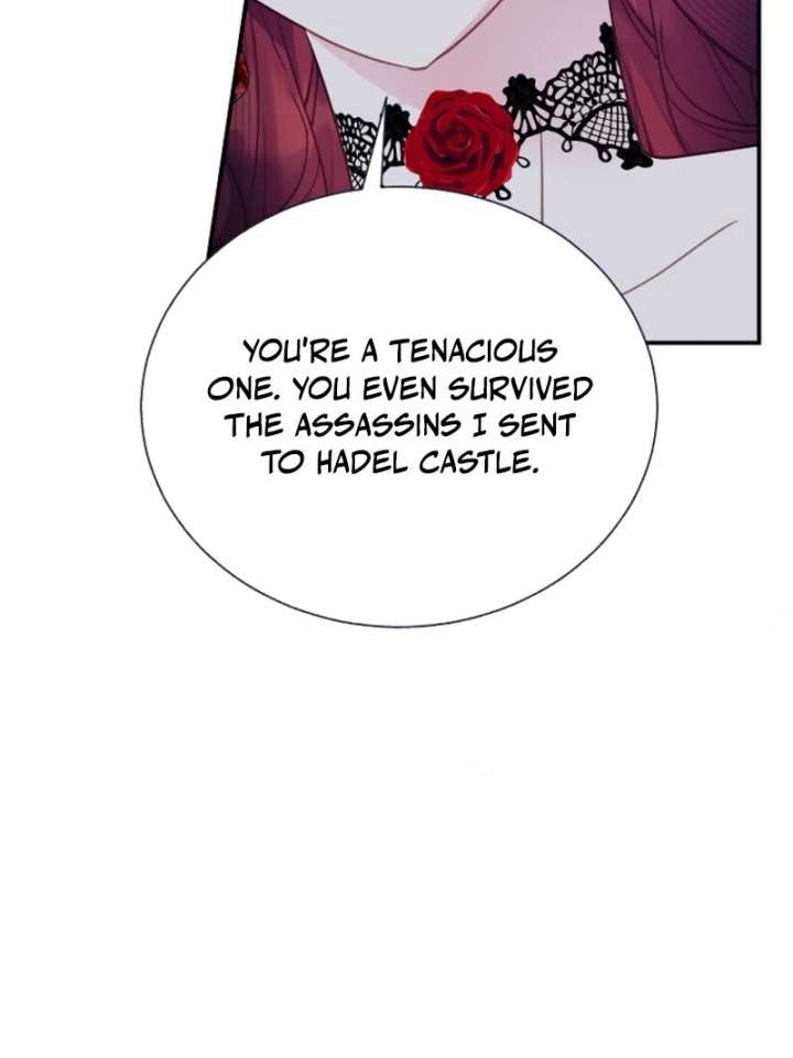 Cavier Falcon Princess Chapter 144 - Page 27