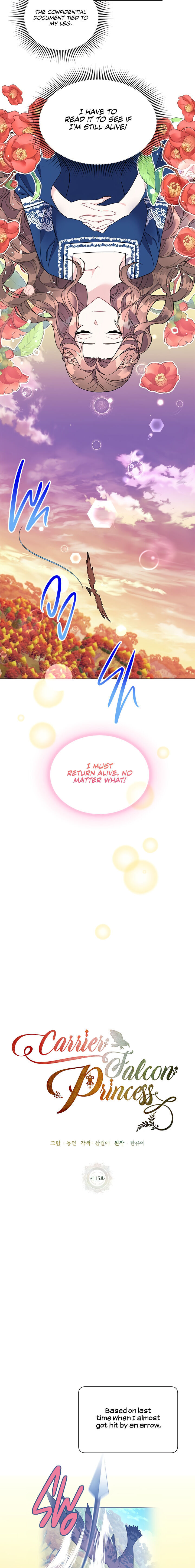 Cavier Falcon Princess Chapter 15 - Page 13