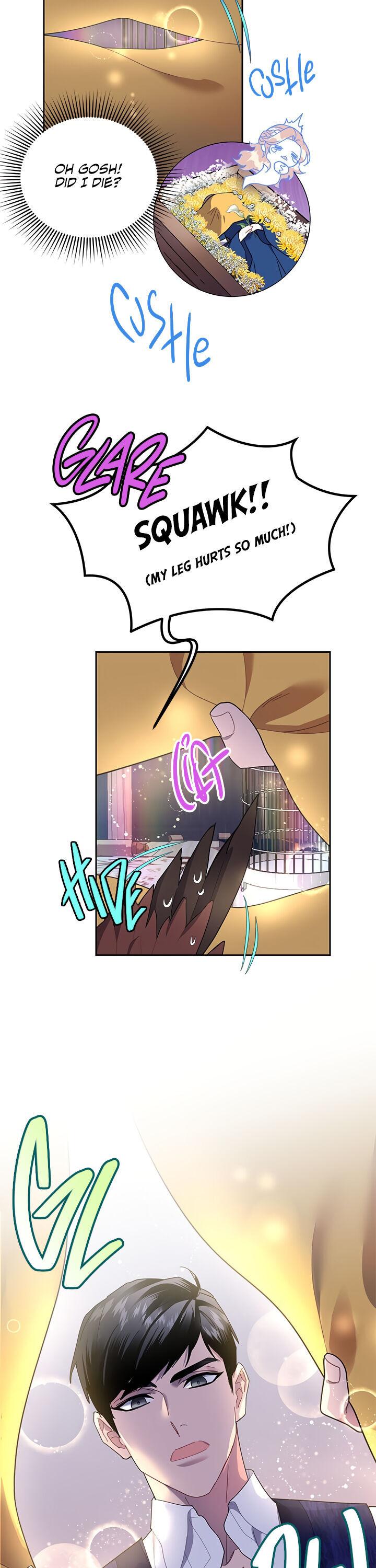 Cavier Falcon Princess Chapter 16 - Page 12