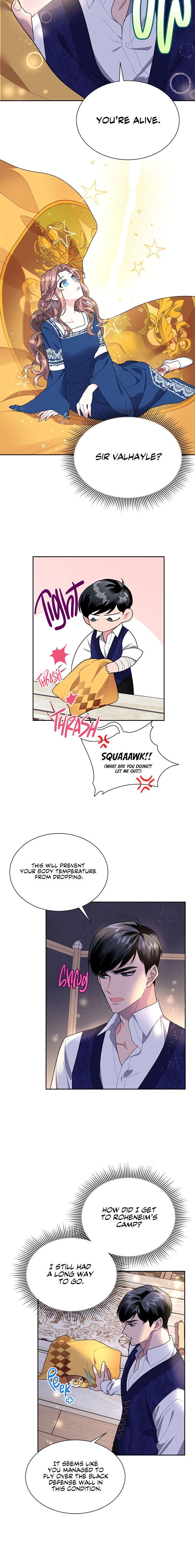 Cavier Falcon Princess Chapter 16 - Page 13