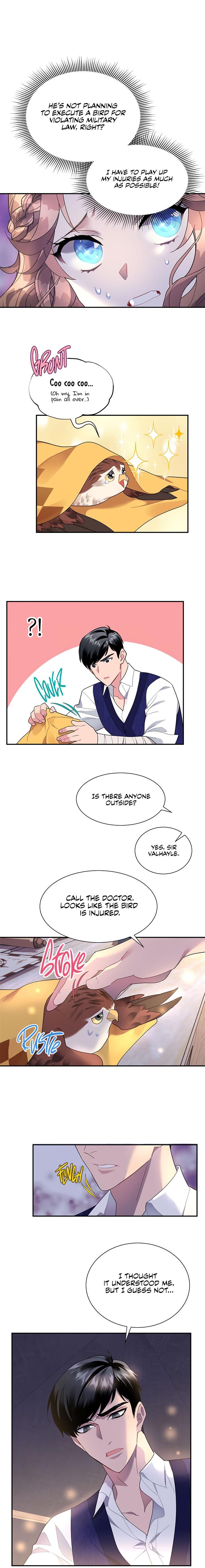 Cavier Falcon Princess Chapter 16 - Page 16