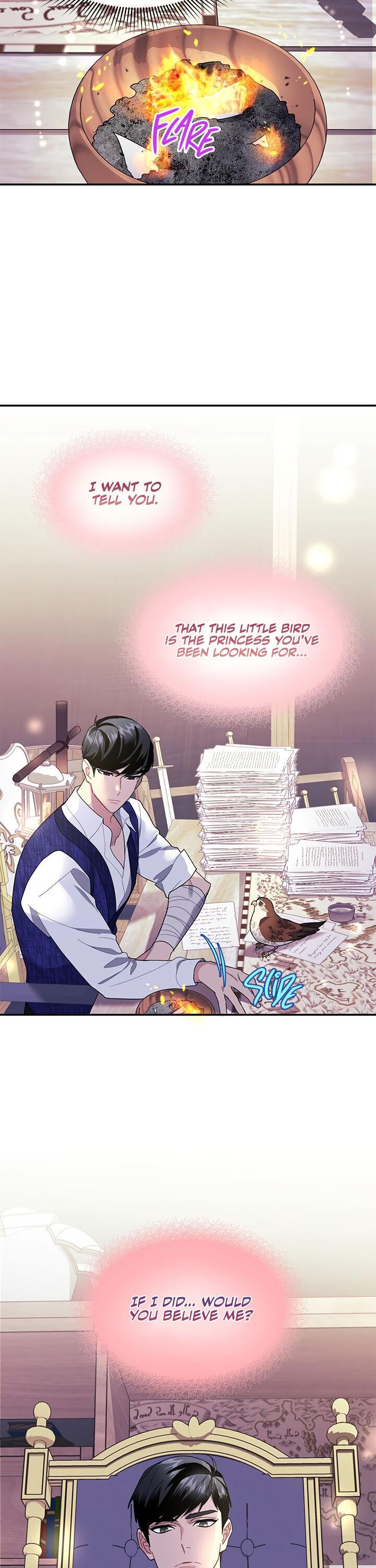 Cavier Falcon Princess Chapter 17 - Page 16