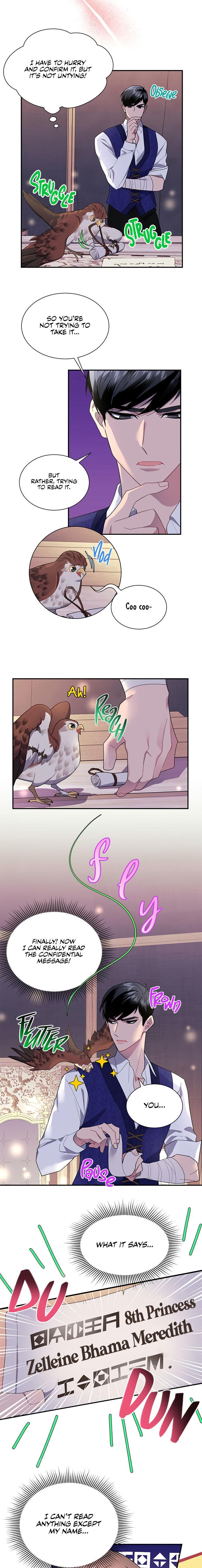 Cavier Falcon Princess Chapter 17 - Page 2