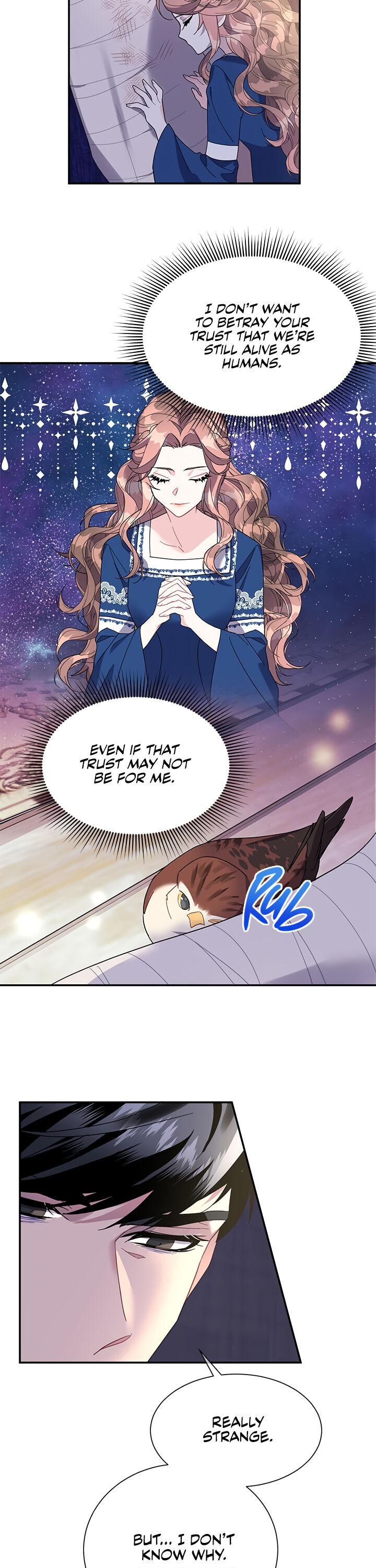 Cavier Falcon Princess Chapter 17 - Page 21