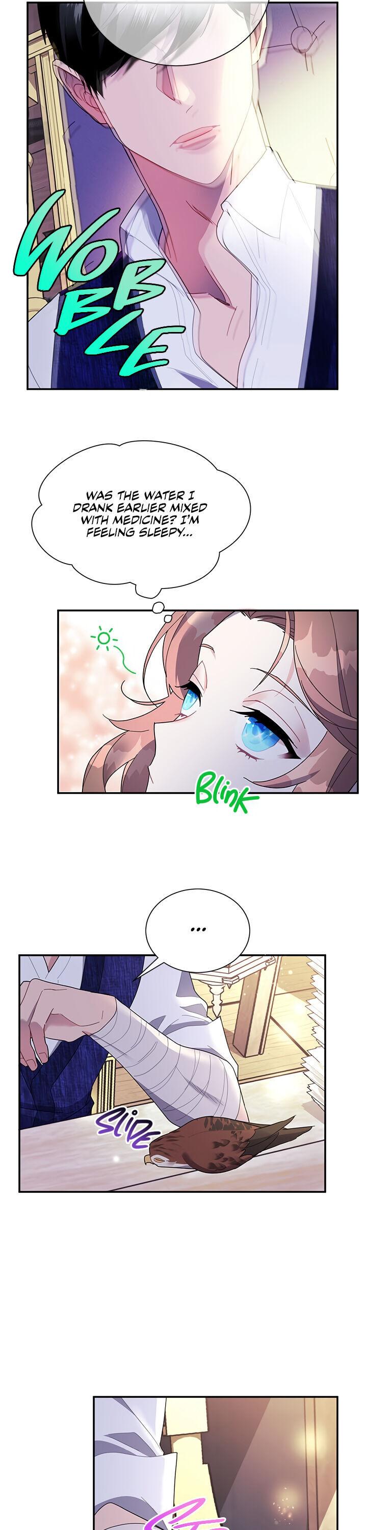 Cavier Falcon Princess Chapter 17 - Page 22