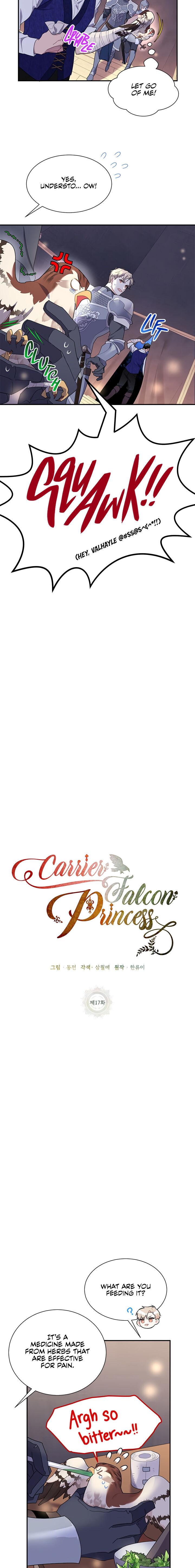 Cavier Falcon Princess Chapter 17 - Page 4