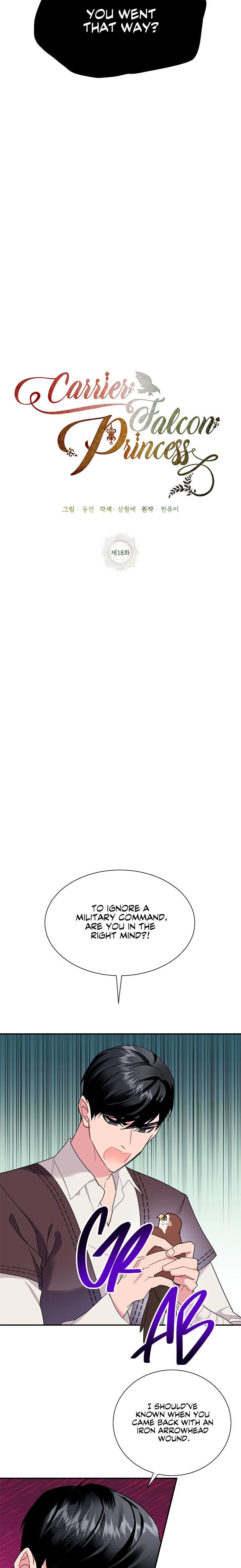 Cavier Falcon Princess Chapter 18 - Page 7