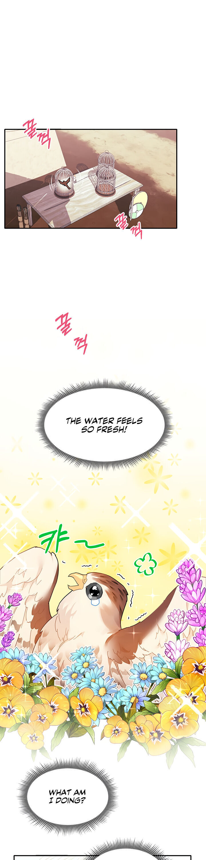 Cavier Falcon Princess Chapter 2 - Page 1