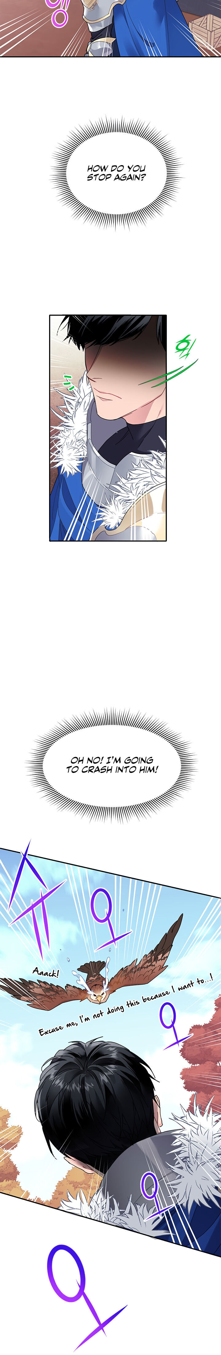 Cavier Falcon Princess Chapter 2 - Page 22