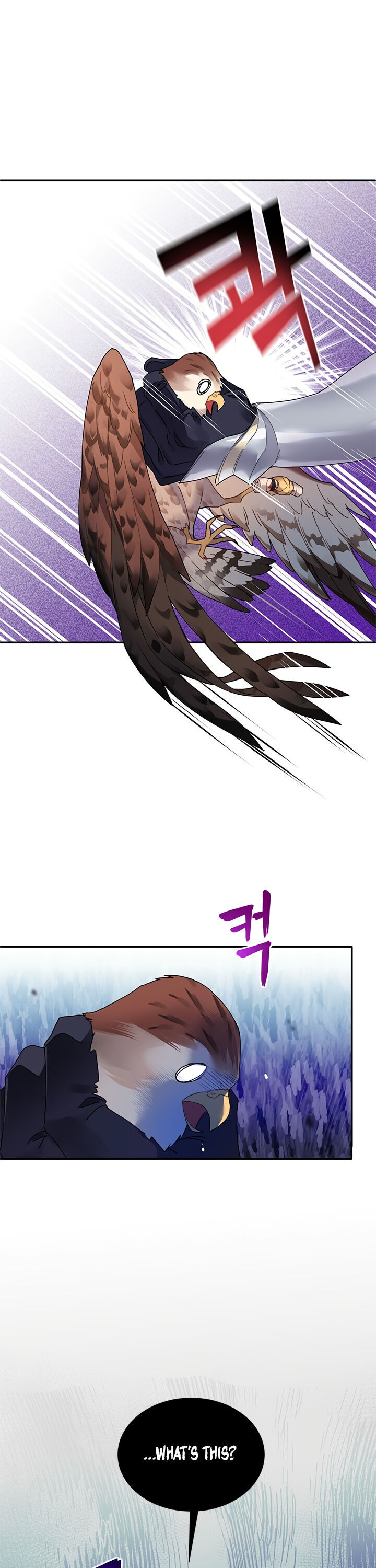 Cavier Falcon Princess Chapter 2 - Page 23