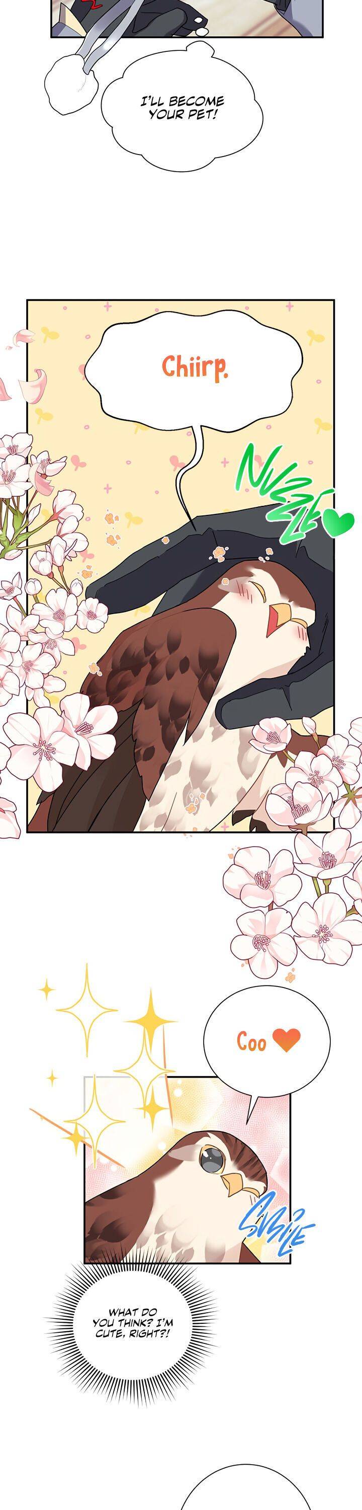 Cavier Falcon Princess Chapter 20 - Page 12