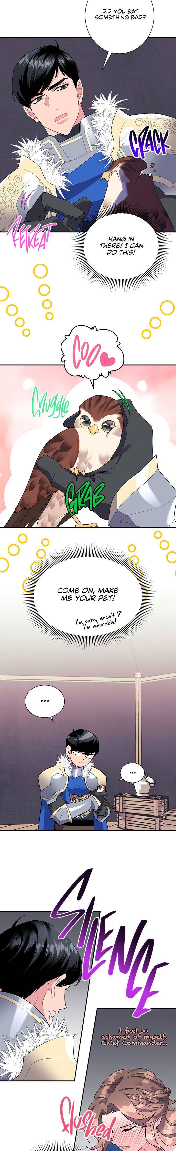 Cavier Falcon Princess Chapter 20 - Page 13