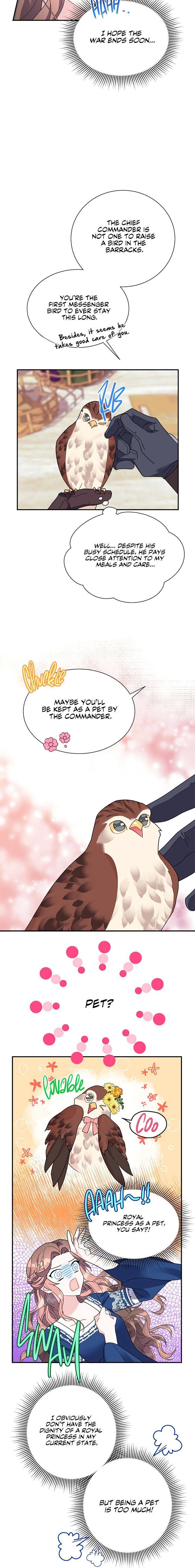 Cavier Falcon Princess Chapter 20 - Page 5