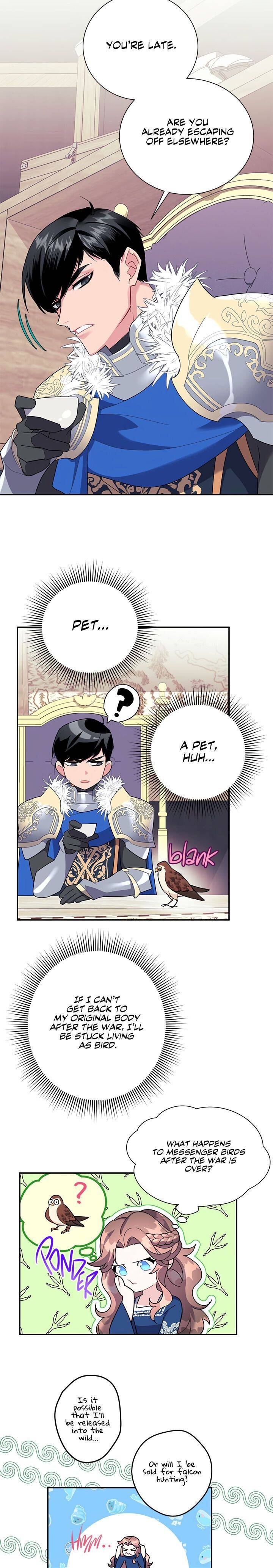 Cavier Falcon Princess Chapter 20 - Page 7