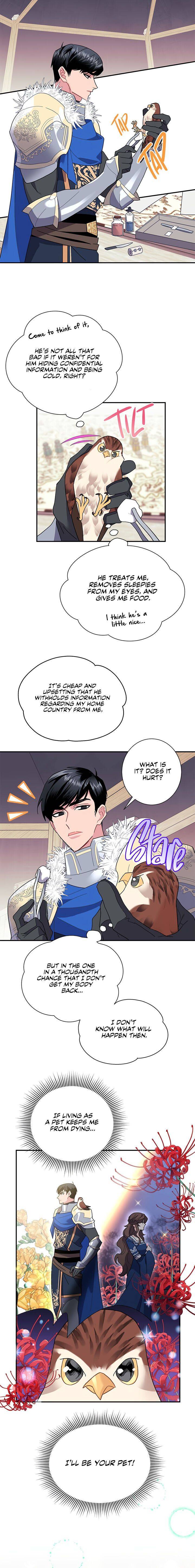 Cavier Falcon Princess Chapter 20 - Page 9