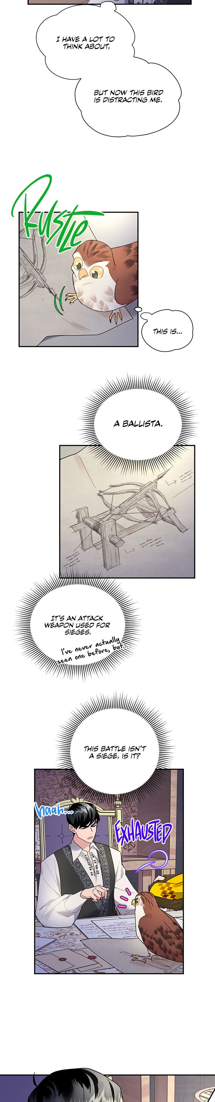 Cavier Falcon Princess Chapter 21 - Page 3