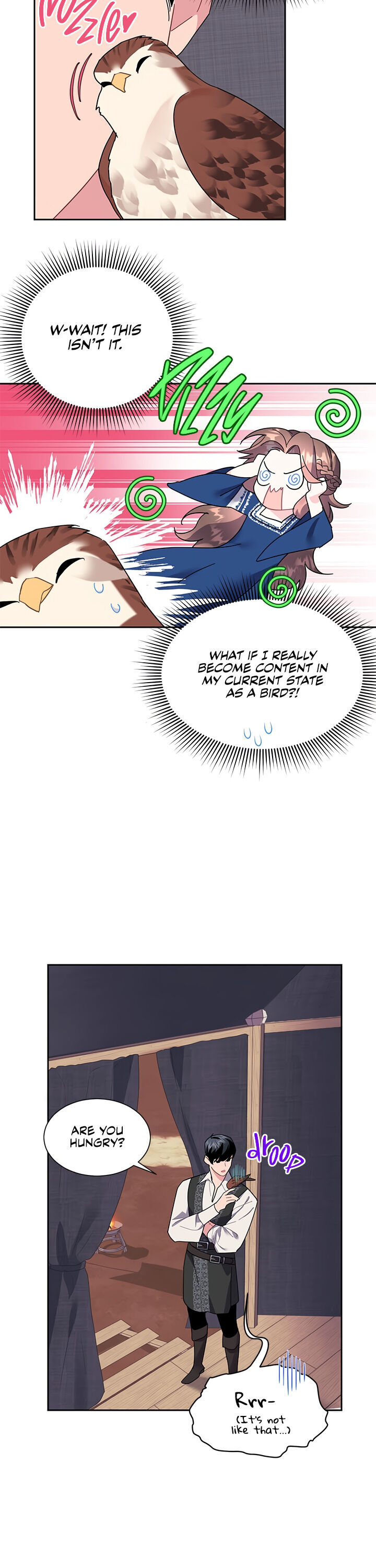 Cavier Falcon Princess Chapter 23 - Page 13