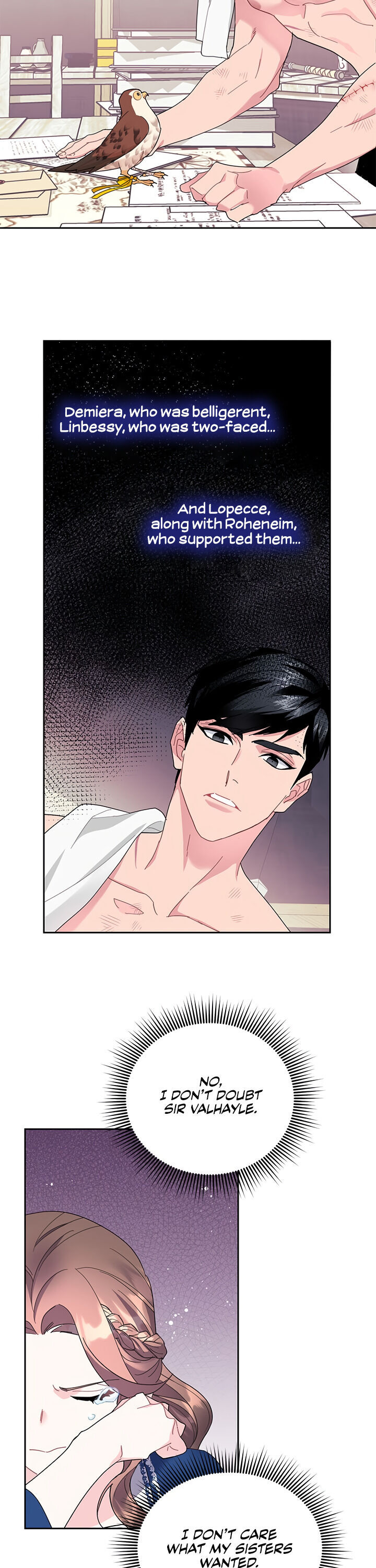 Cavier Falcon Princess Chapter 23 - Page 28