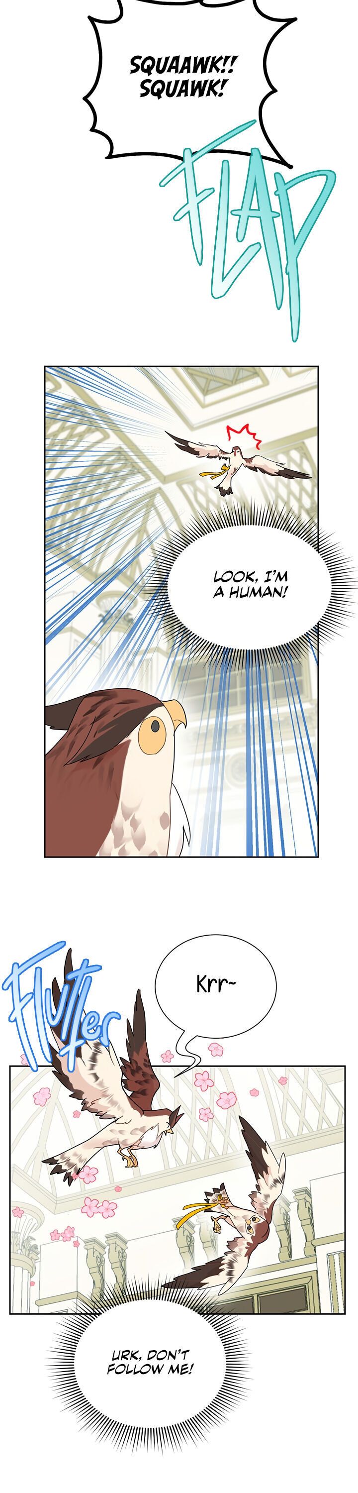 Cavier Falcon Princess Chapter 25 - Page 3