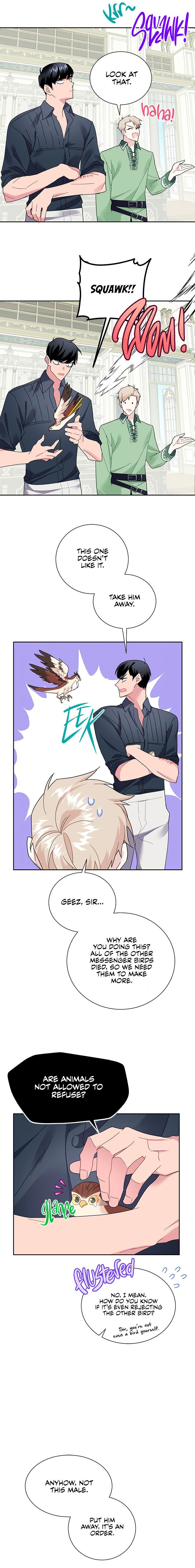 Cavier Falcon Princess Chapter 25 - Page 4