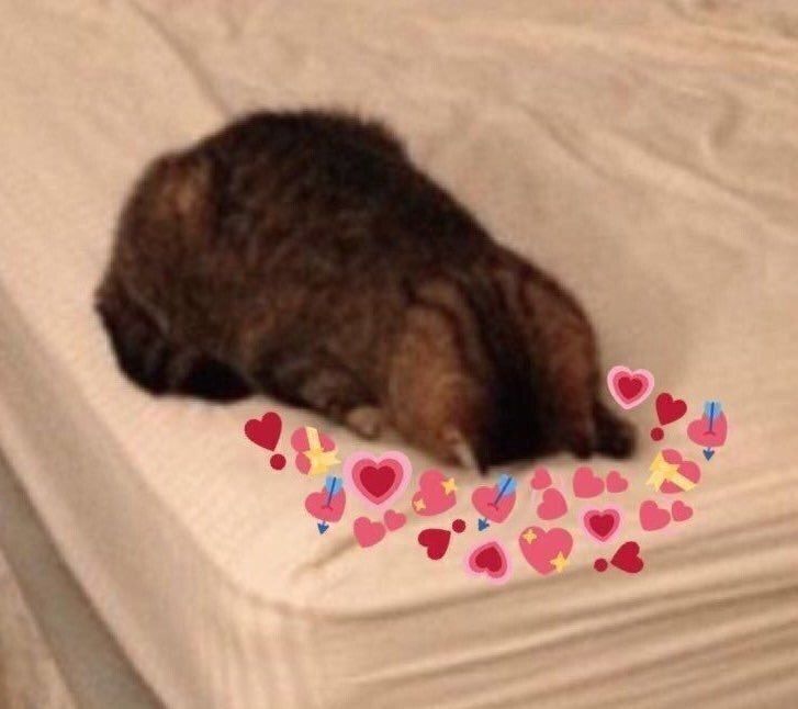 Cavier Falcon Princess Chapter 26 - Page 23