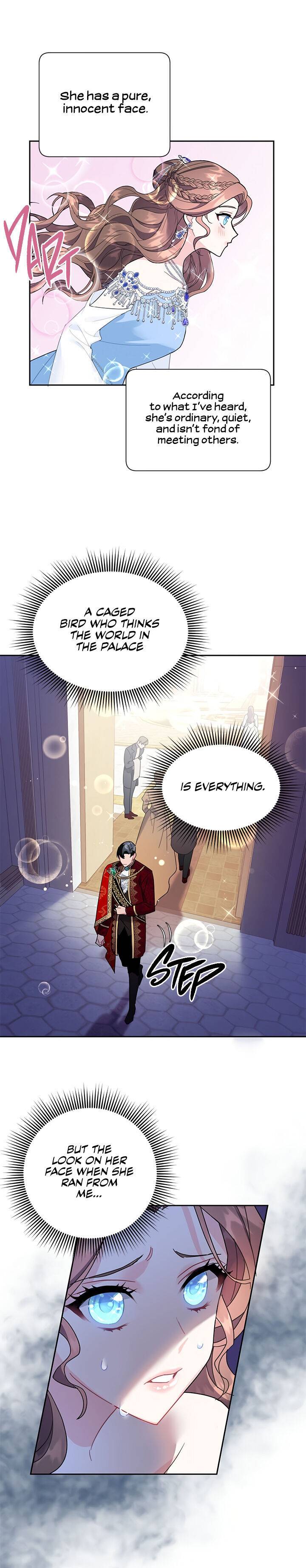 Cavier Falcon Princess Chapter 27 - Page 3