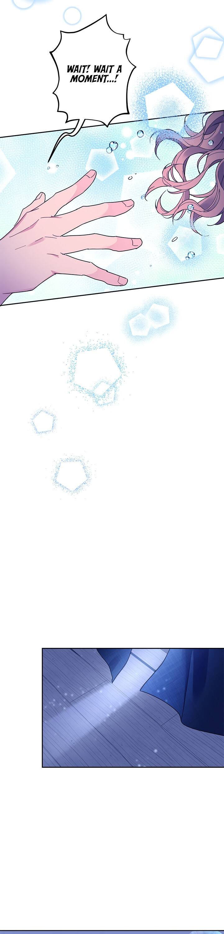 Cavier Falcon Princess Chapter 29 - Page 20