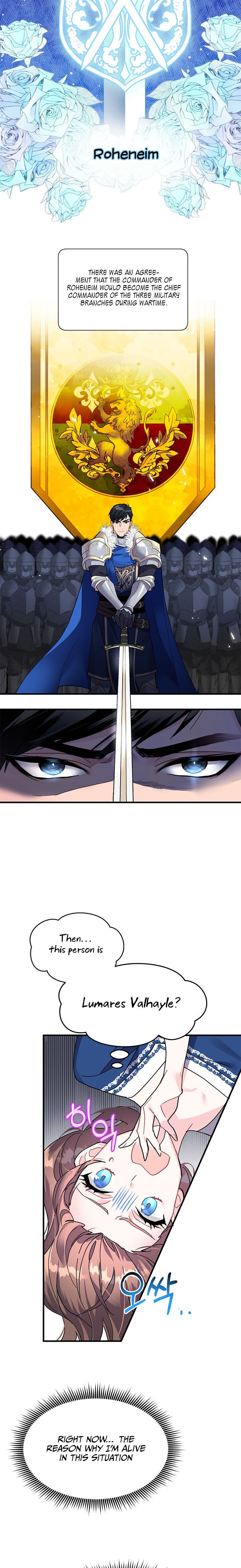 Cavier Falcon Princess Chapter 3 - Page 11