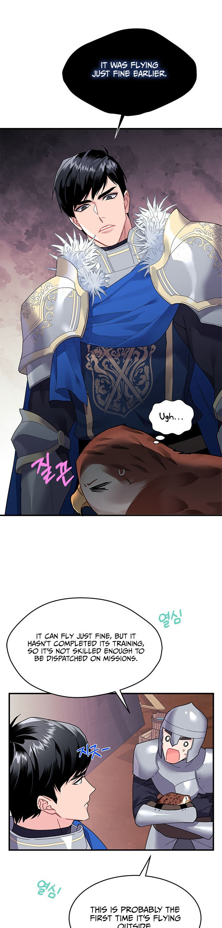 Cavier Falcon Princess Chapter 3 - Page 17