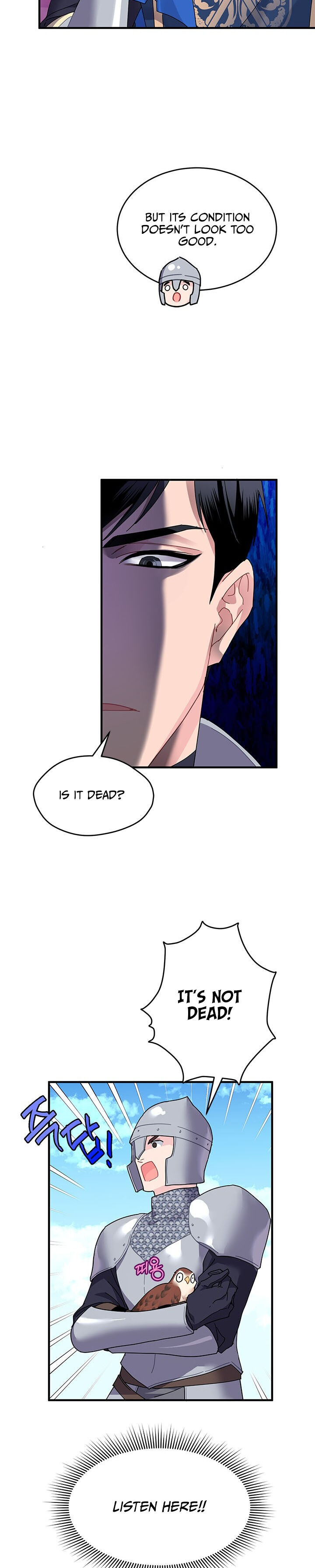 Cavier Falcon Princess Chapter 3 - Page 20