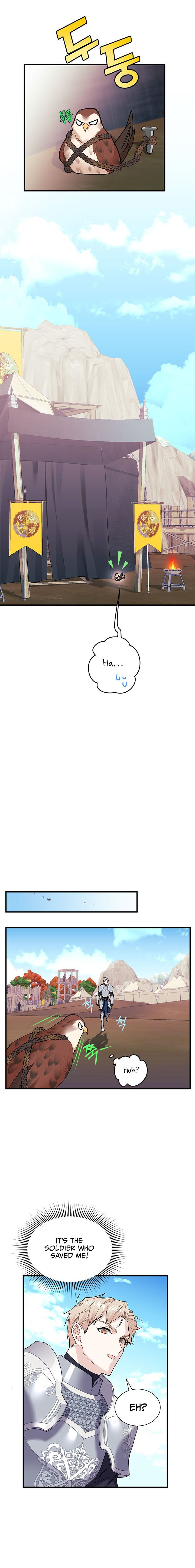 Cavier Falcon Princess Chapter 3 - Page 22