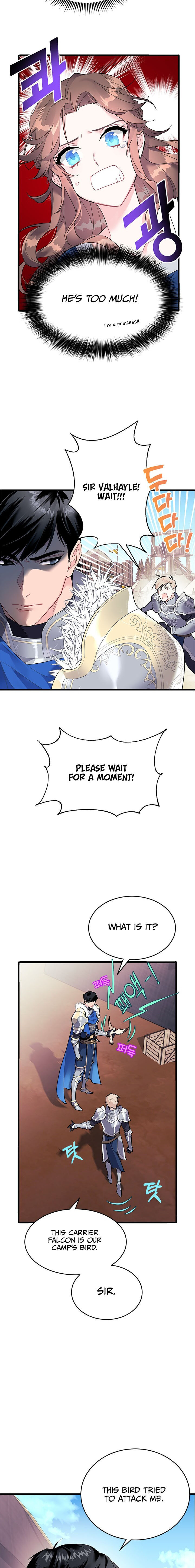 Cavier Falcon Princess Chapter 3 - Page 3