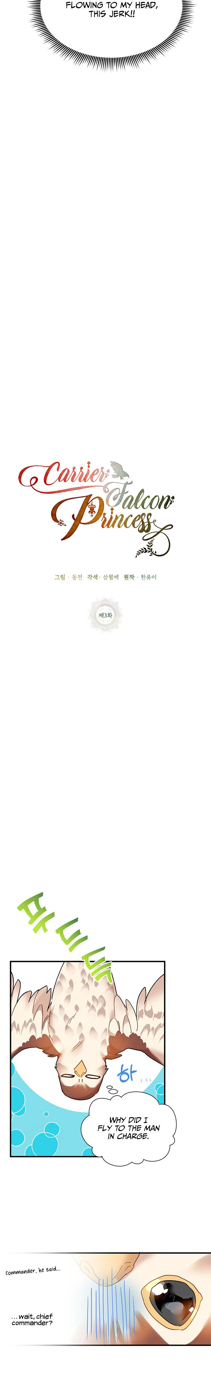Cavier Falcon Princess Chapter 3 - Page 9