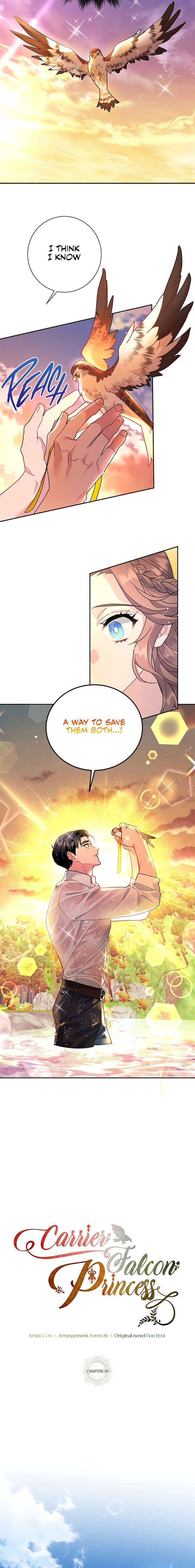 Cavier Falcon Princess Chapter 30 - Page 12