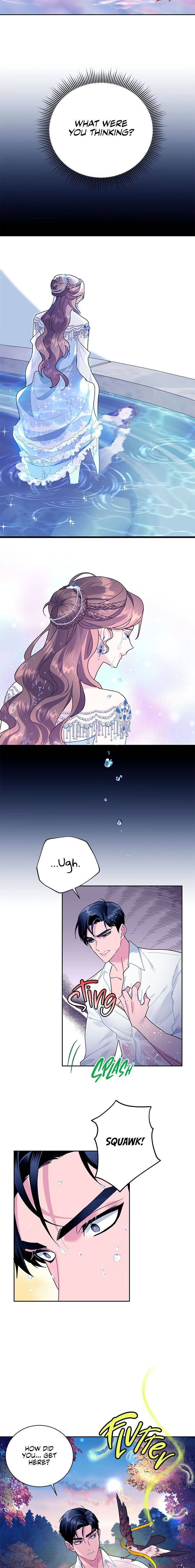 Cavier Falcon Princess Chapter 30 - Page 4