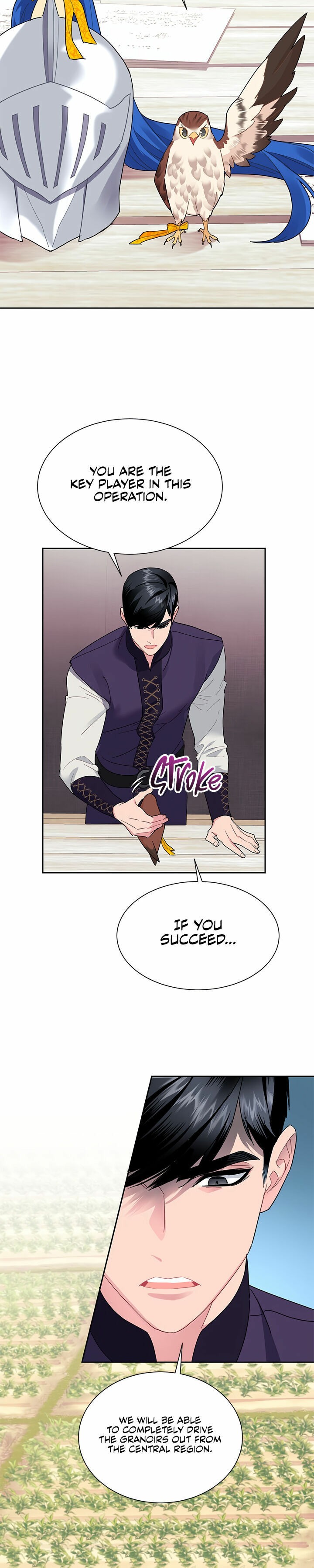 Cavier Falcon Princess Chapter 31 - Page 13