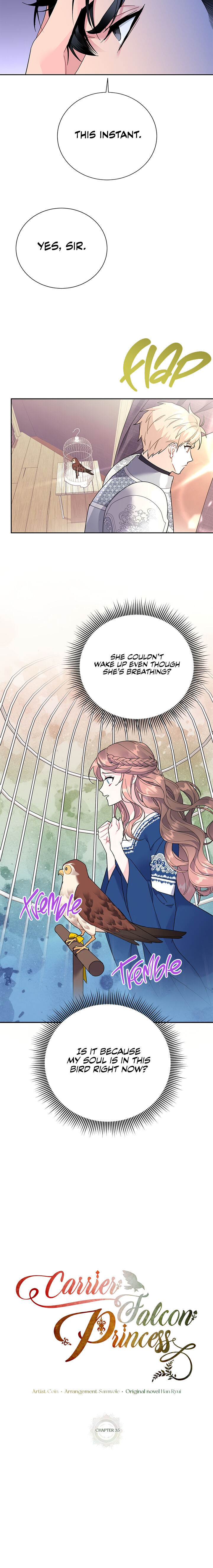 Cavier Falcon Princess Chapter 35 - Page 12