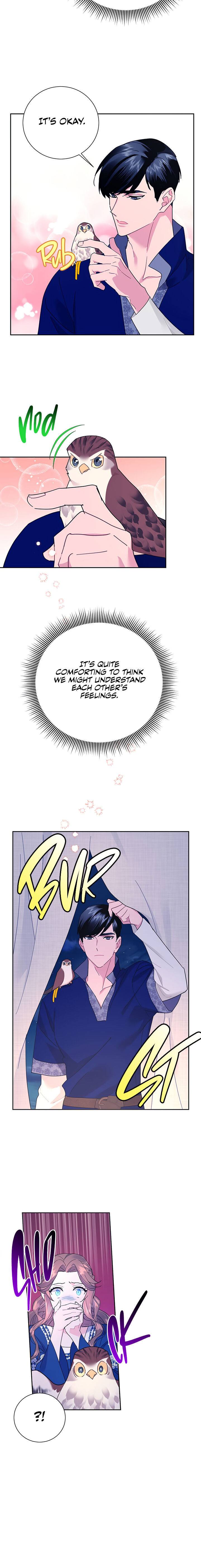 Cavier Falcon Princess Chapter 36 - Page 18