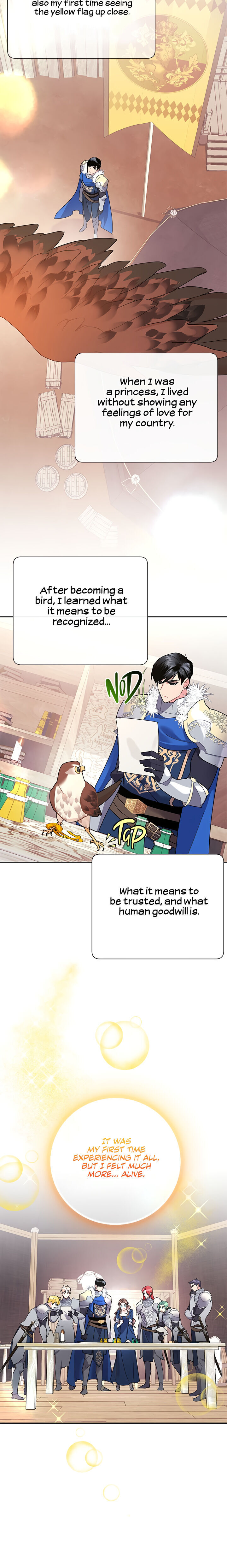 Cavier Falcon Princess Chapter 37 - Page 21