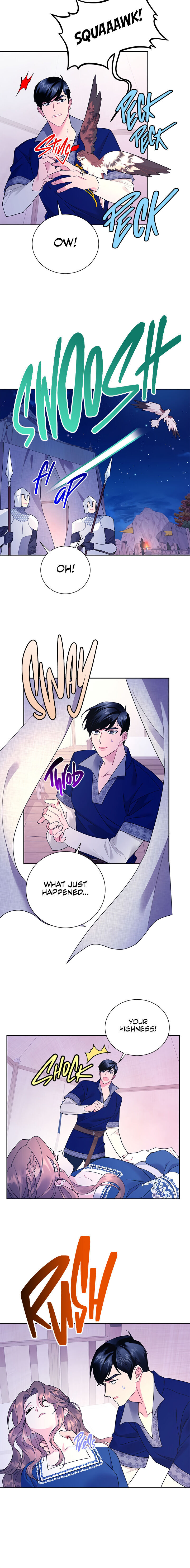 Cavier Falcon Princess Chapter 37 - Page 6