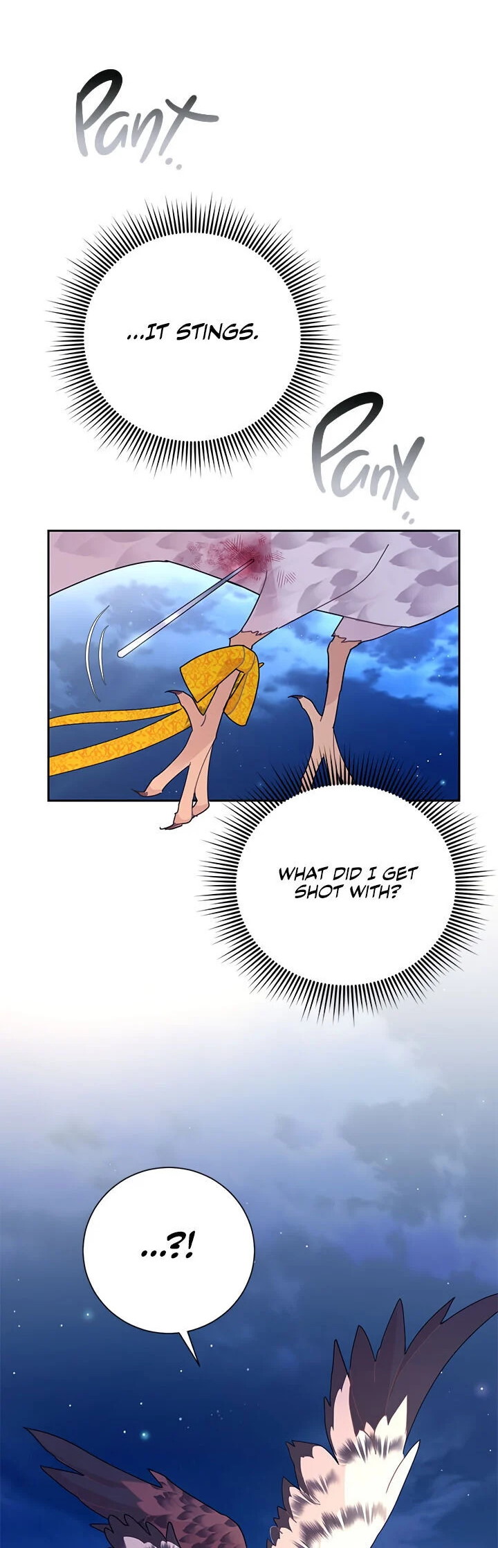 Cavier Falcon Princess Chapter 38 - Page 1