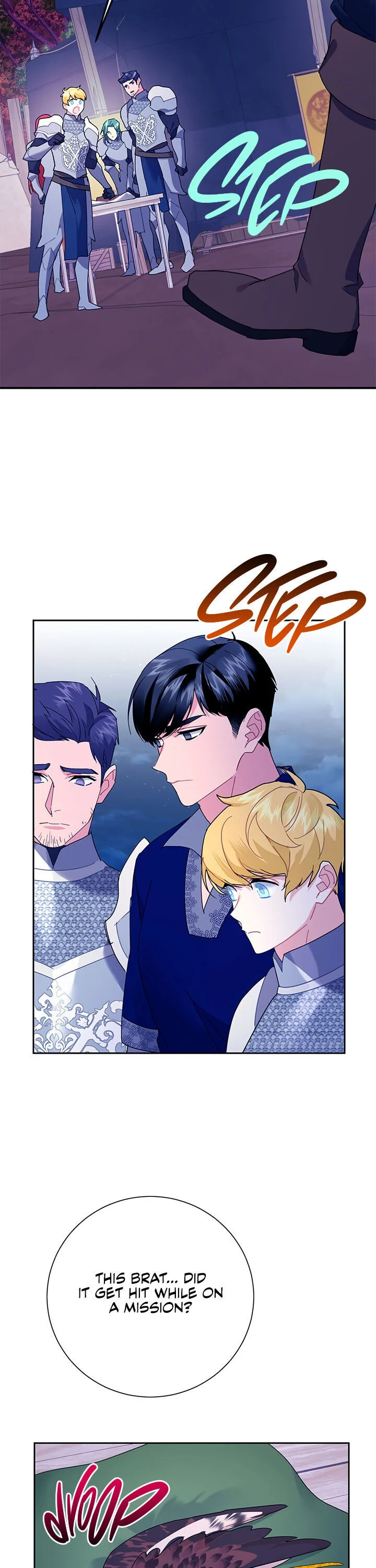 Cavier Falcon Princess Chapter 38 - Page 17