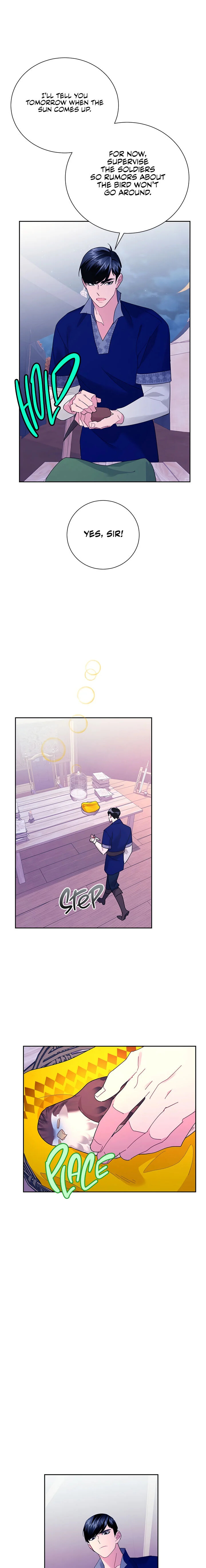 Cavier Falcon Princess Chapter 38 - Page 19